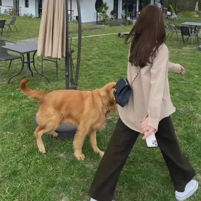 狂犬末日